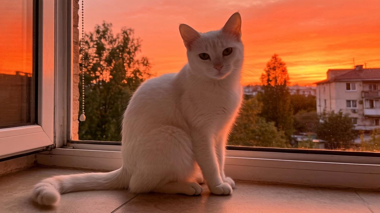 方程豹钛3闪充版发布 第二代刀片电池+闪充技术 纯电续航620km(图1)