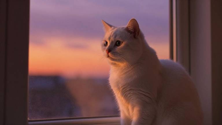 极氪9X连续3个月获50万级大型SUV销冠 累计交付突破3万台(图1)