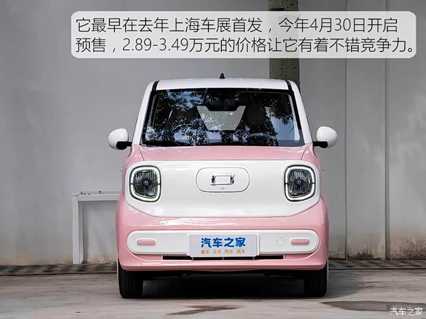 可爱呆萌小精灵驾到 实拍体验奔腾小马(图4)