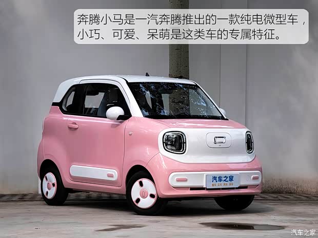 可爱呆萌小精灵驾到 实拍体验奔腾小马(图3)