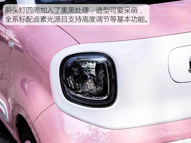 可爱呆萌小精灵驾到 实拍体验奔腾小马(图7)