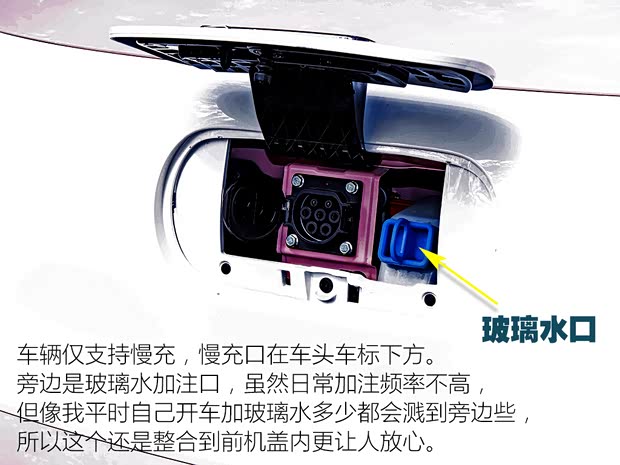 可爱呆萌小精灵驾到 实拍体验奔腾小马(图8)