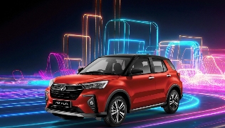 东盟车市变局：燃油车退潮，电动车崛起(图5)