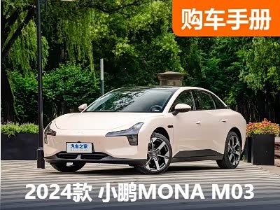 入门版即最优解？ MONA M03购车手册 - 领驭达新车资讯站