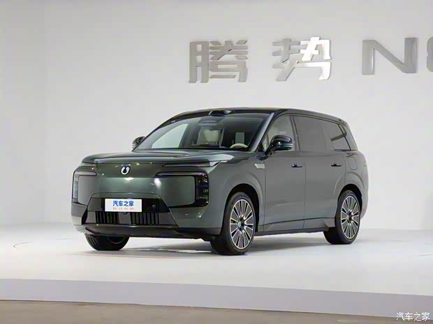 两个配置/高配更佳 腾势N8L购车手册(图3)