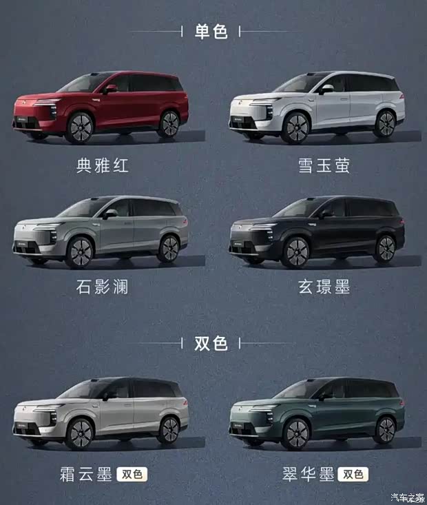 两个配置/高配更佳 腾势N8L购车手册(图14)