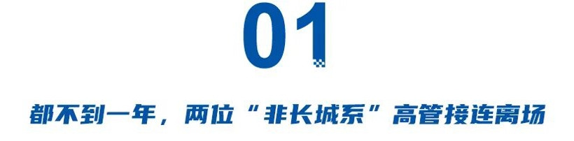 从冯复之到赵永坡：魏牌需要“职业经理人”还是“自己人”？ - 领驭达新车资讯站