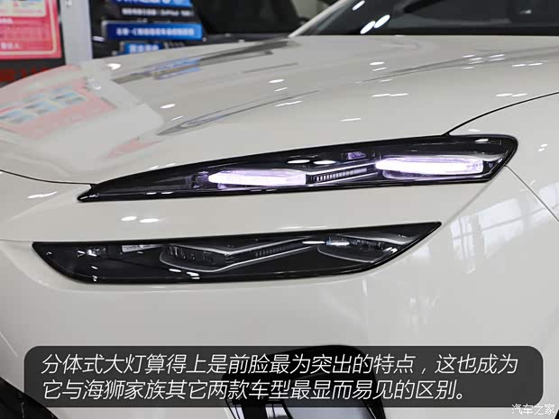 领航辅助驾驶 舒适性配置通通标配 静态体验海狮06新能源(图3)