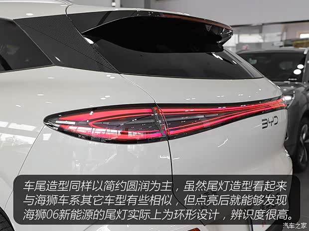 领航辅助驾驶 舒适性配置通通标配 静态体验海狮06新能源(图10)