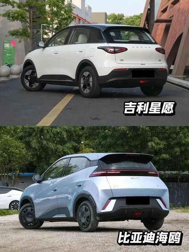 欧拉为何没造出长城的海鸥和星愿？(图4)