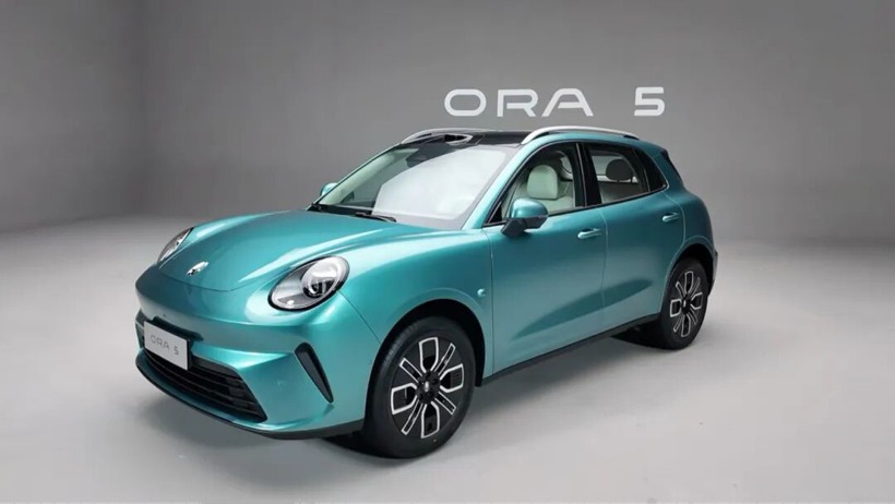 欧拉为何没造出长城的海鸥和星愿？(图5)