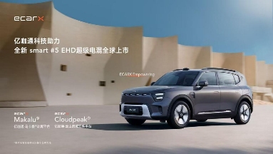 中企，“攻入”欧企供应链(图3)