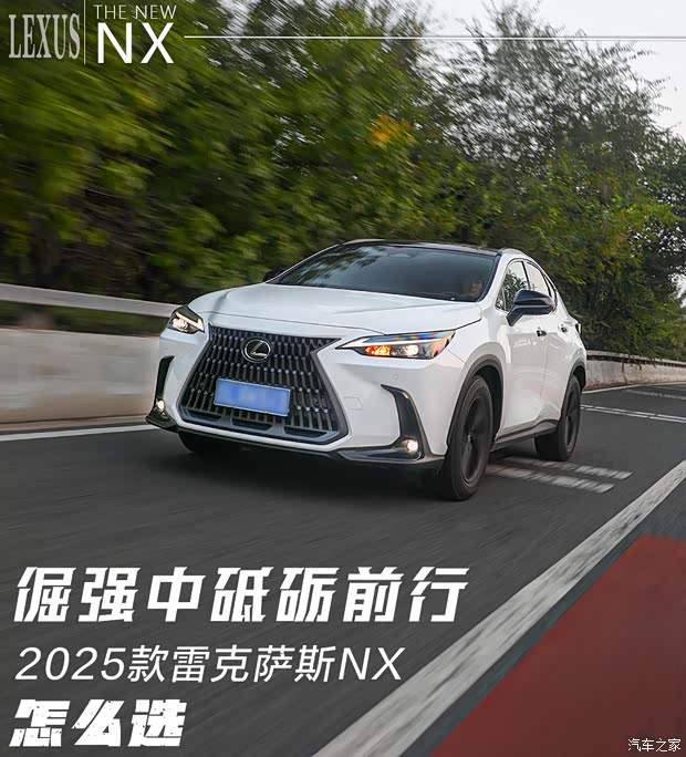 倔强地砥砺前行 雷克萨斯NX你该怎么选(图1)