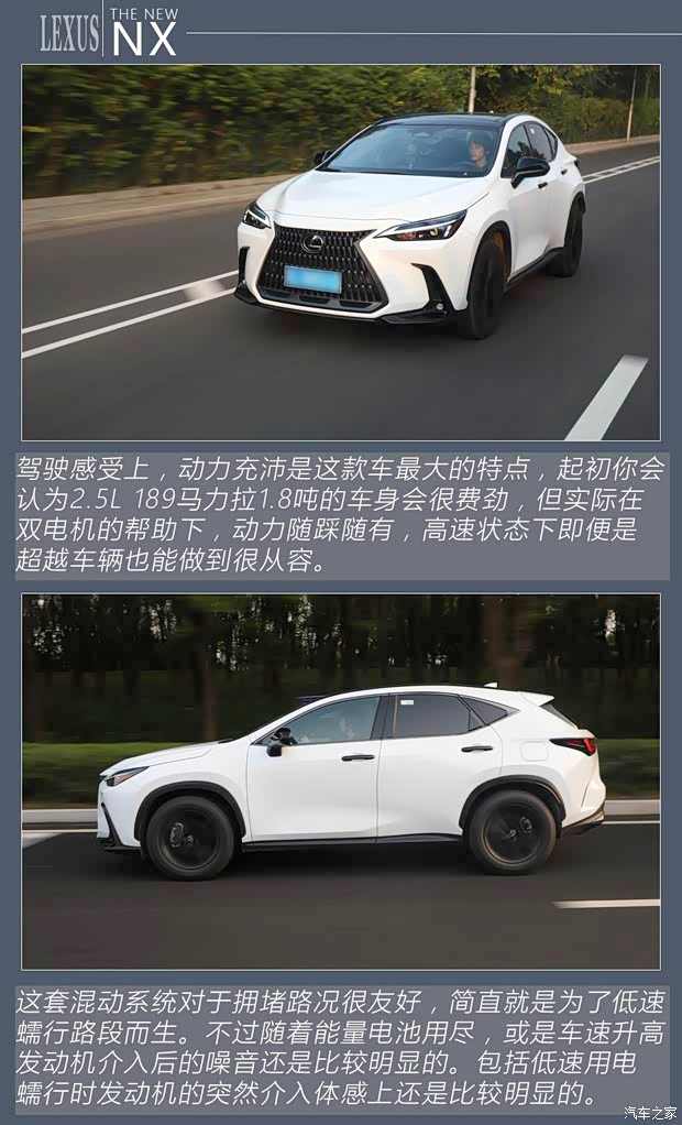 倔强地砥砺前行 雷克萨斯NX你该怎么选(图10)
