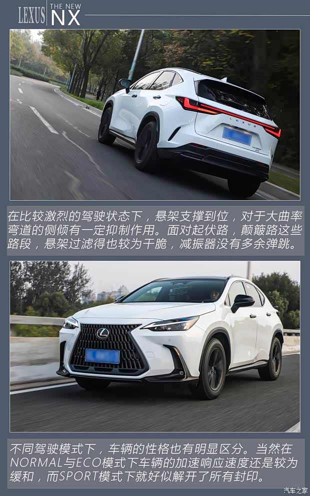 倔强地砥砺前行 雷克萨斯NX你该怎么选(图11)