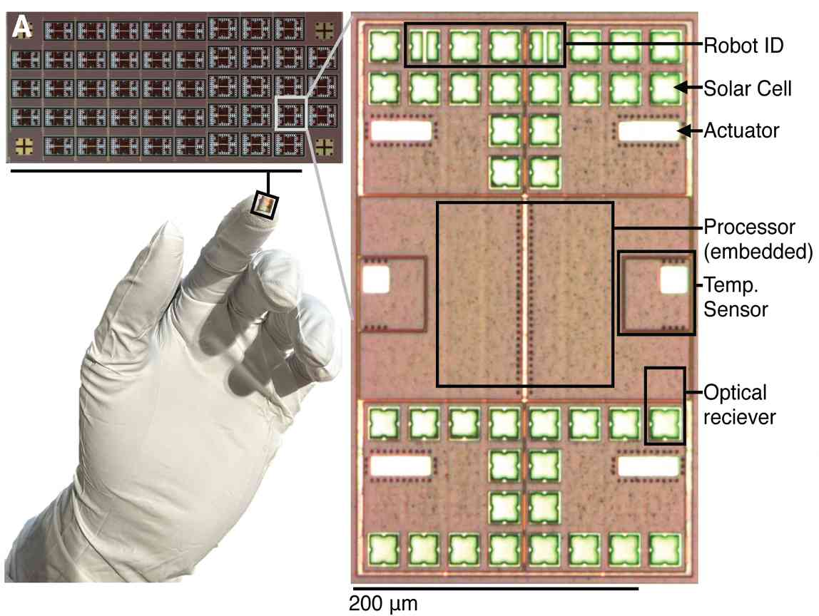 研究人员发明亚毫米级机器人 能够感知、思考并自主行动。 - 领驭达新车资讯站