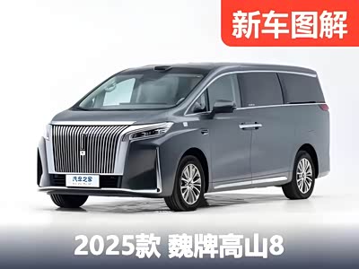 宜商宜家“新平衡”？！首发魏牌高山8静态