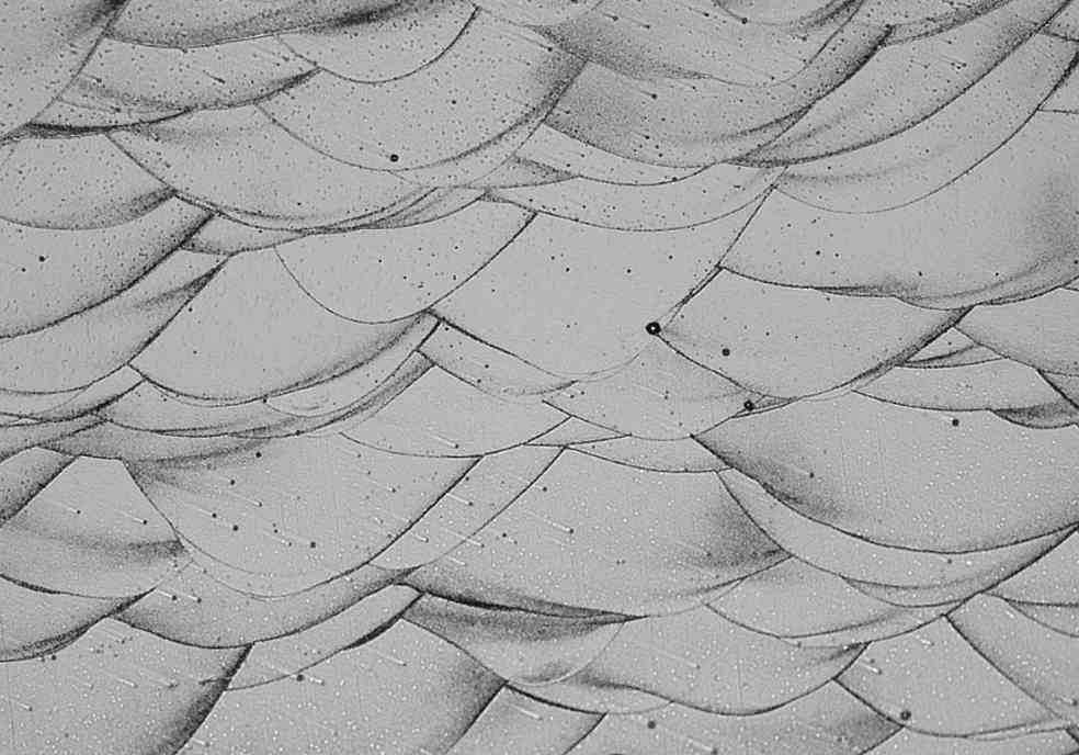 名古屋大学发明3D打印铝合金新方法 以制造更坚固的汽车零部件(图1)