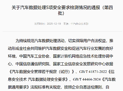 中国汽车已告别“野蛮生长”？|看见2025(图9)
