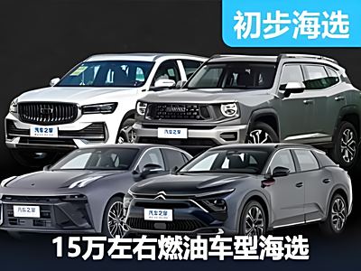 主打一个实用 15万左右燃油车型海选