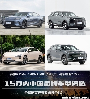 15万内还要追求性价比？中国品牌新能源车海选(图1)