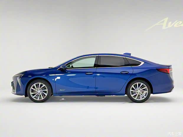 花一样的钱选油车还是选电车？20-25万油车/电车轿车海选(图13)