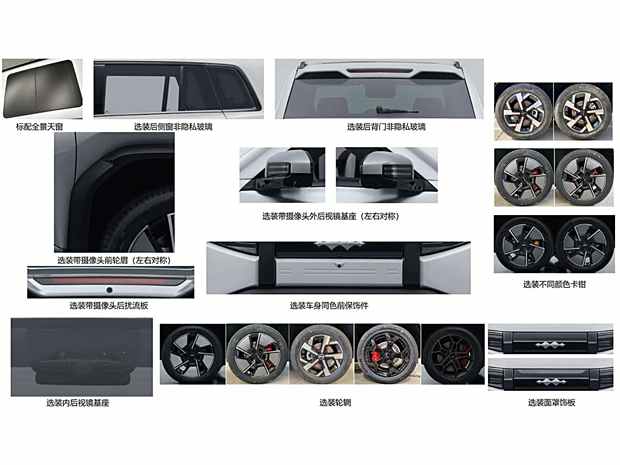 爆款潜质车型扎堆 比亚迪25年发布/上市重点车型汇总(图7)