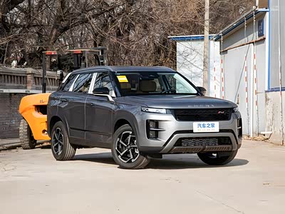 国外卖得好买车能不能参考？中国品牌海外热