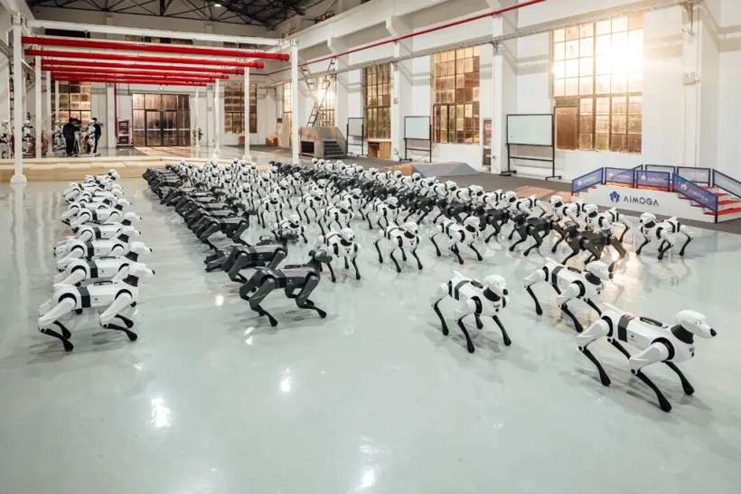 智能驾驶的狂飙、洗牌与突围 | 看见2025(图10)