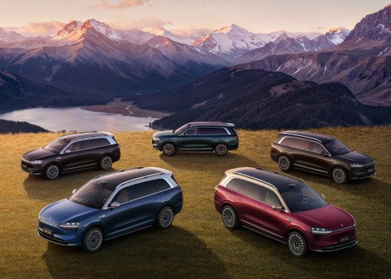 问界M9两周年，引领中国品牌向上突破(图7)