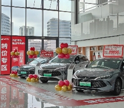 多地紧急追加汽车补贴，10亿预算托底车市收官战(图5)