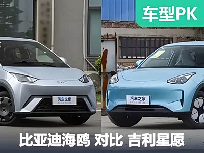 过完大年提什么车？选销量王海鸥！还是后起