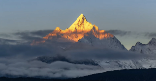 沉默的火种：第一批电动车主今安在？(图3)