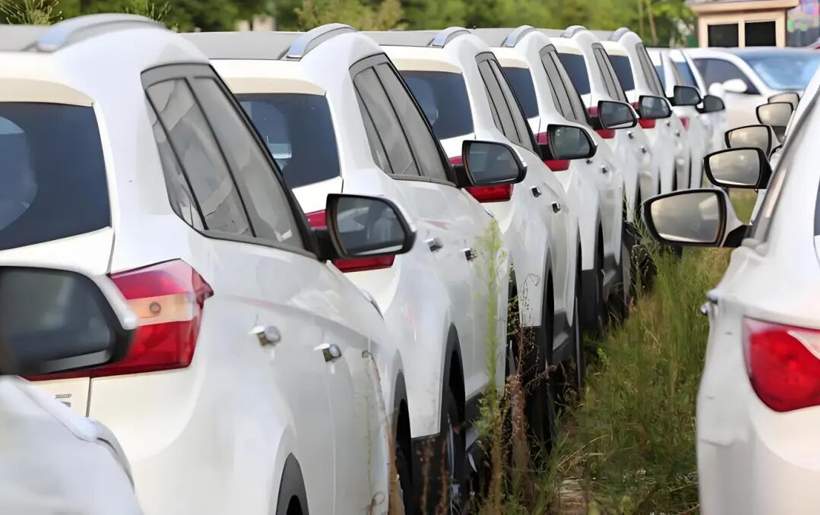 “骗国家钱，非常卑鄙” 魏建军怒批“零公里二手车”(图1)