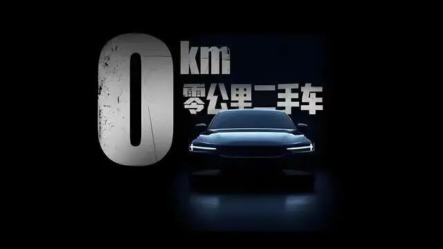 “骗国家钱，非常卑鄙” 魏建军怒批“零公里二手车”(图2)