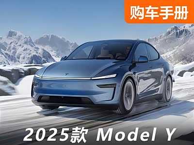 新老对比！焕新Model Y中国首发上市！快来看哪儿变了！ - 领驭达新车资讯站