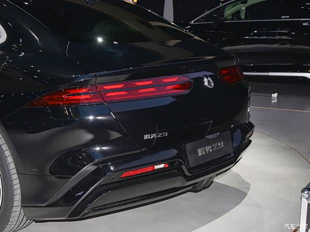 优雅与科技共存的腾势Z9豪华程度如何？跟我一起体验吧(图8)