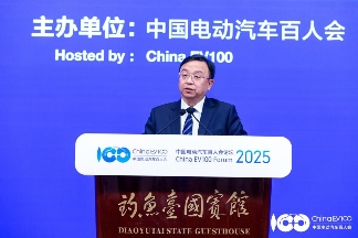 十大金句，车圈的焦虑与坚守 | 看见2025(图3)