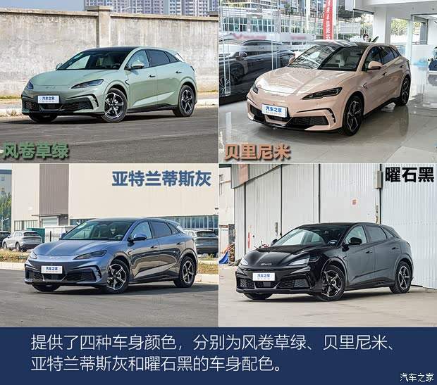 首推505海浪Plus版 海豹06GT购车手册(图6)