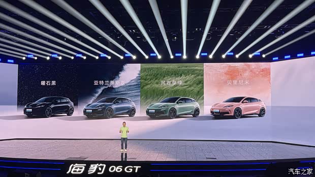 首推505海浪Plus版 海豹06GT购车手册(图5)