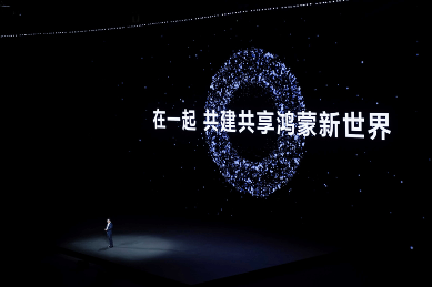 用户大会扎堆，中国汽车要“卷”品牌价值了？(图2)