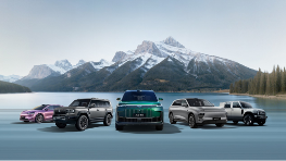 奇瑞的2025：一份“硬核答卷”背后的系统胜利(图4)