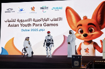 奇瑞的2025：一份“硬核答卷”背后的系统胜利(图5)