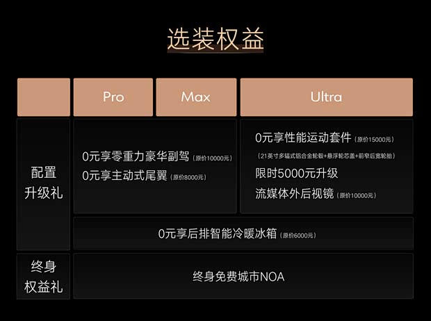 主推插混/纯电Max版 腾势Z9GT购车手册(图12)