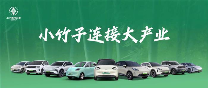 上汽通用五菱2025年累计销量超163.5万辆，新能源年销首超百万(图6)