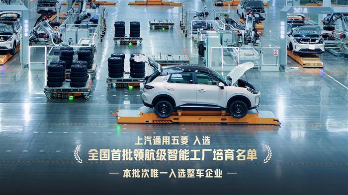 上汽通用五菱2025年累计销量超163.5万辆，新能源年销首超百万(图5)