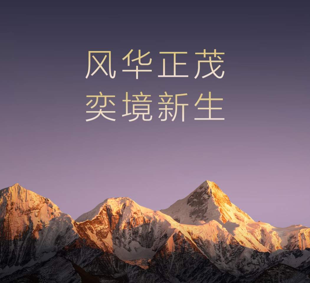 华为生态里的“初代元老”与他们的新考题(图4)