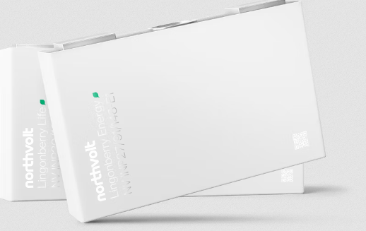 2025全球汽车产业十大出清与整合事件：在变革浪潮中重塑格局(图5)