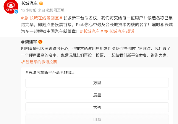 长城汽车，又一次全网“征名”(图2)