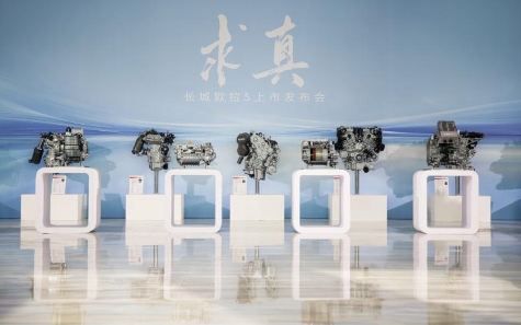 长城汽车，又一次全网“征名”(图4)